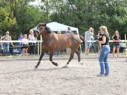IMG_1351_web